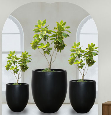 Indoor plant decor